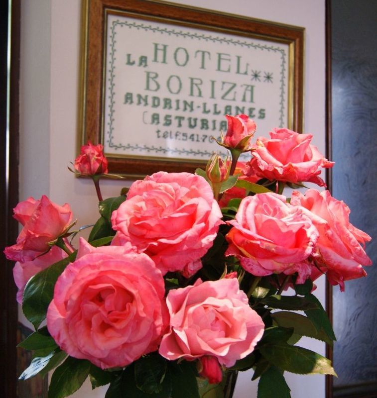 Hotel La Boriza Andrin Exterior photo
